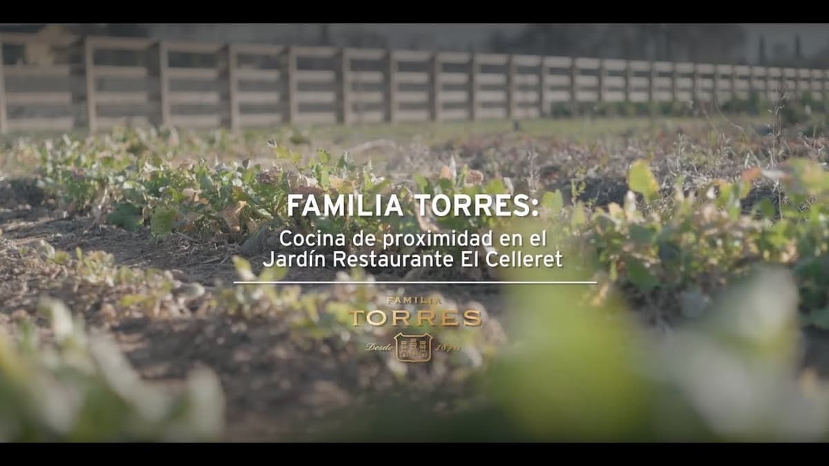 Cocina de Proximidad: Cómo Lograr una Cocina Más Responsable