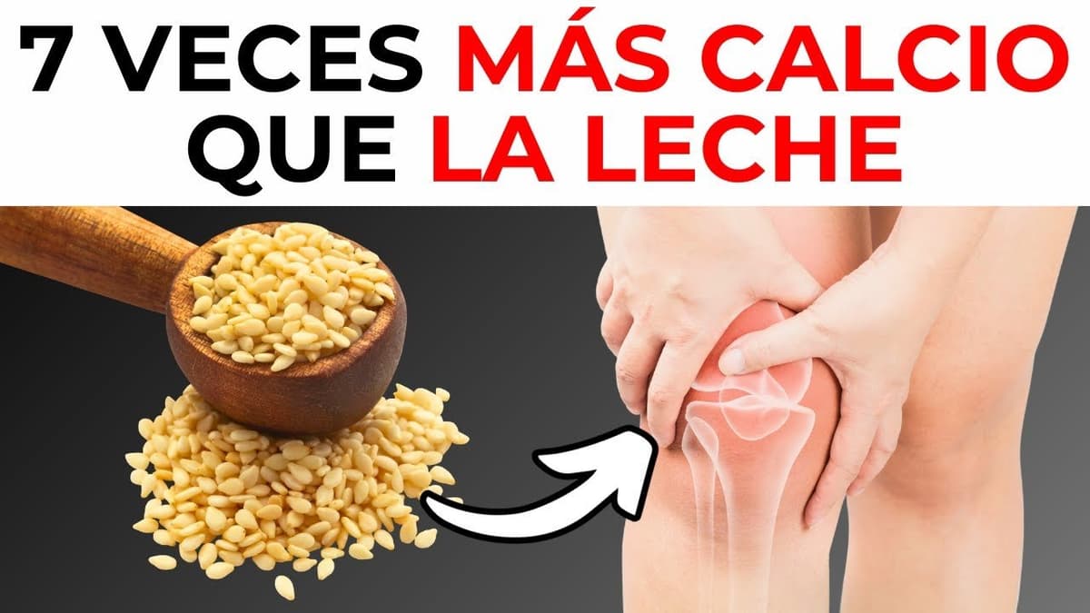 Top Comidas con Calcio: La Opción #193 Perfecta para Adultos Mayores