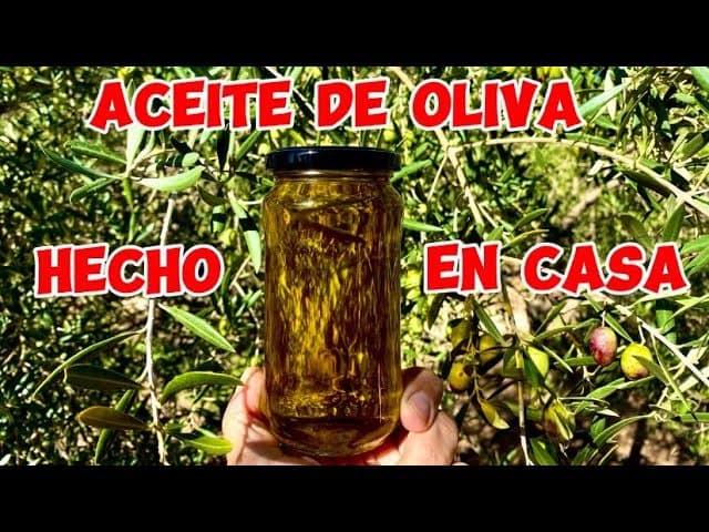 10 Alternativas Efectivas: Cómo Reemplazar el Aceite de Oliva en Casa