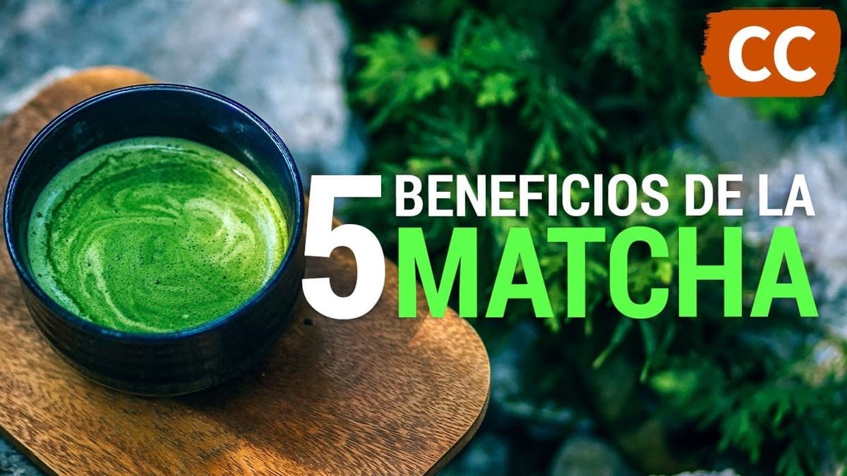 Comparación Entre Chia y Matcha: ¿Cuál es Mejor para tu Salud?