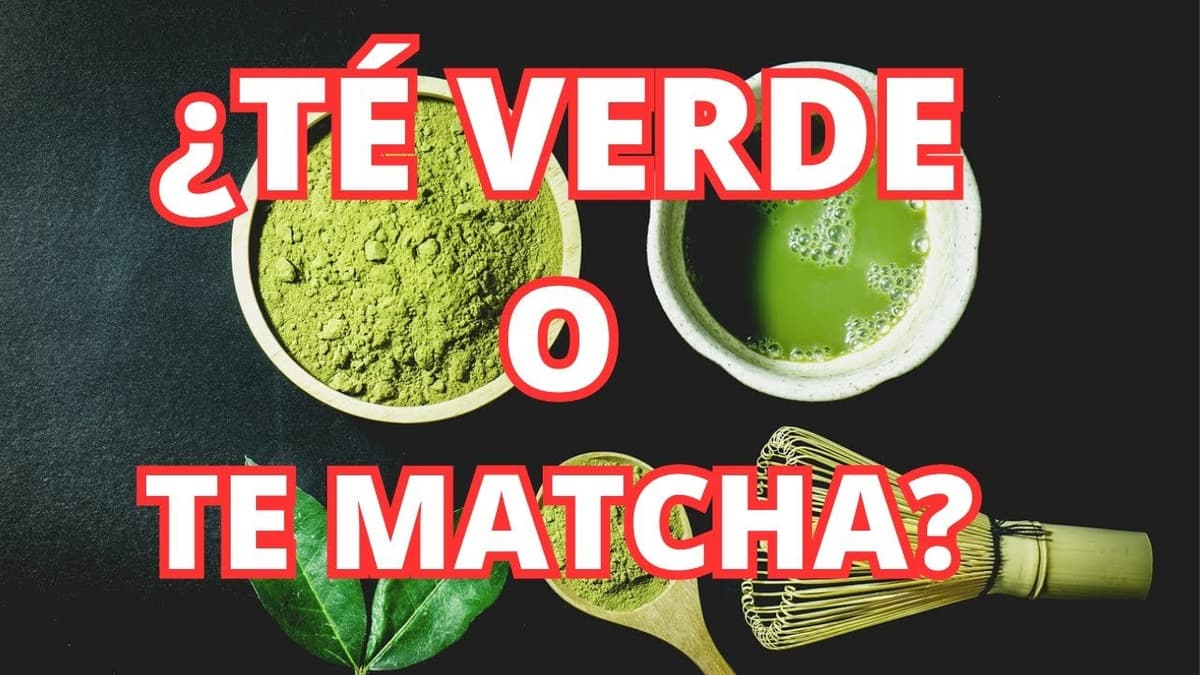Comparación entre Matcha y Kombucha: ¿Cuál es Mejor para tu Salud?