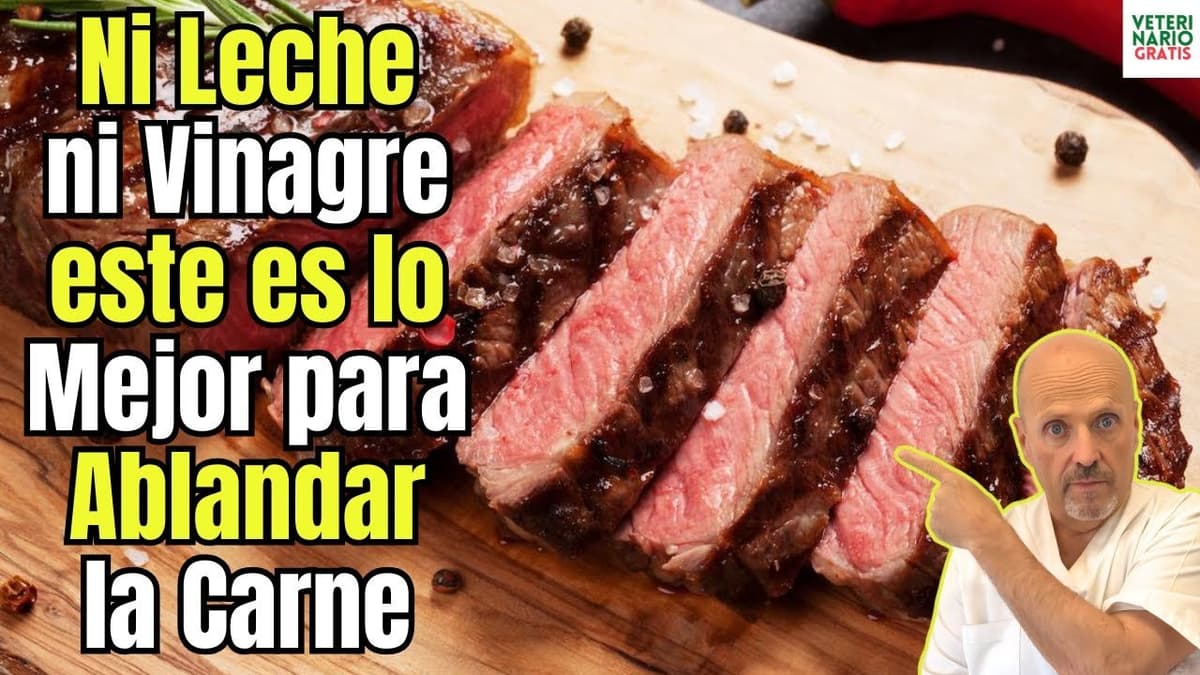 Comparativa Detallada entre Vinagre y Carnes en la Cocina: Usos y Beneficios