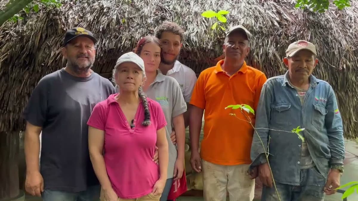 Guía Esencial para una Compra Responsable en Mercados Locales y Cocina Sostenible