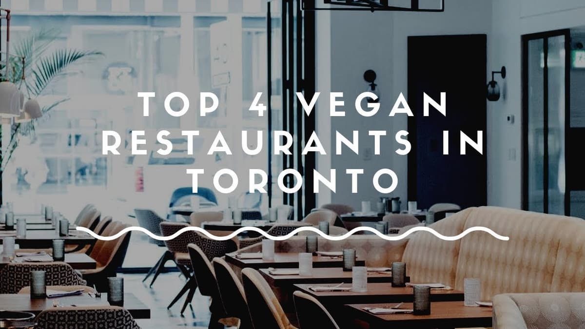 Dónde Encontrar los Mejores Restaurantes de Comida Vegana en Toronto | Guía 2023