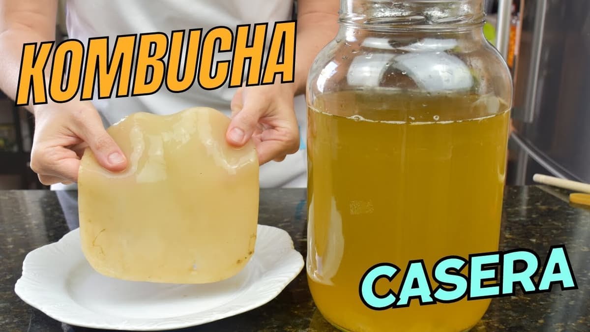 Guía Completa sobre el Uso de Kombucha en la Cocina Moderna: Beneficios y Recetas | 2023