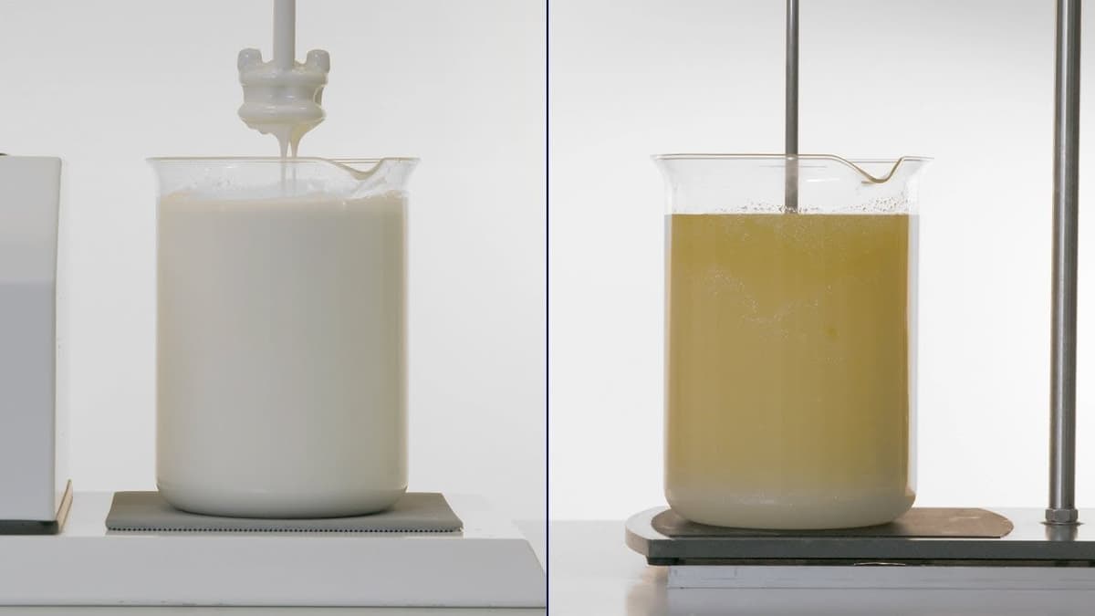 Cómo Emulsionar Aceites: Guía Paso a Paso para Principiantes
