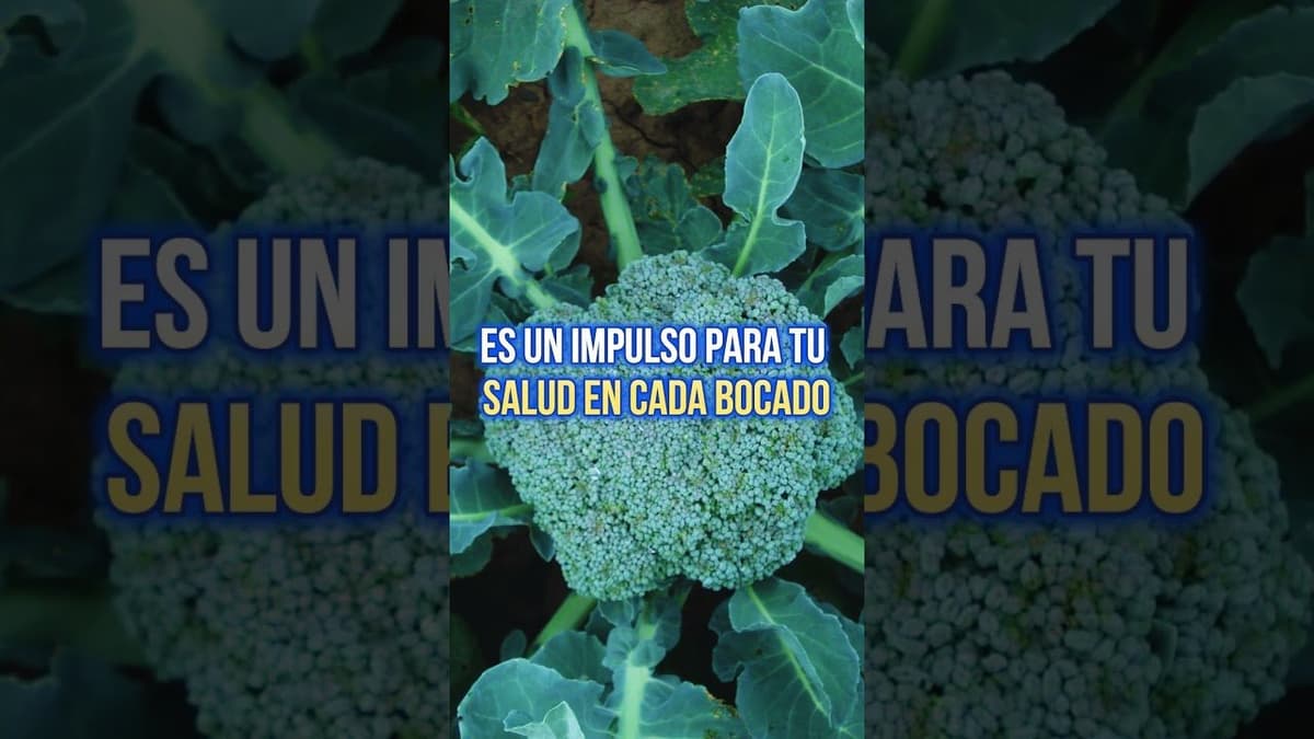 Lo que Nadie te Dice Sobre el Brócoli: Secretos Revelados