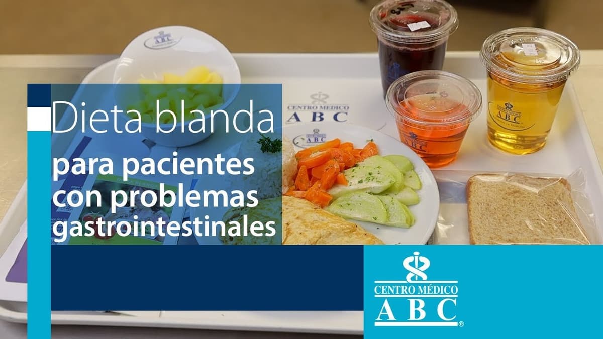 Menús Digestivos: La Opción #103 Ideal Para Adultos Mayores | Guía 2023