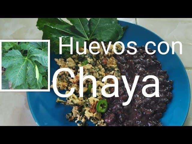 Cómo Preparar la Mejor Receta de Huevos Revueltos con Chaya