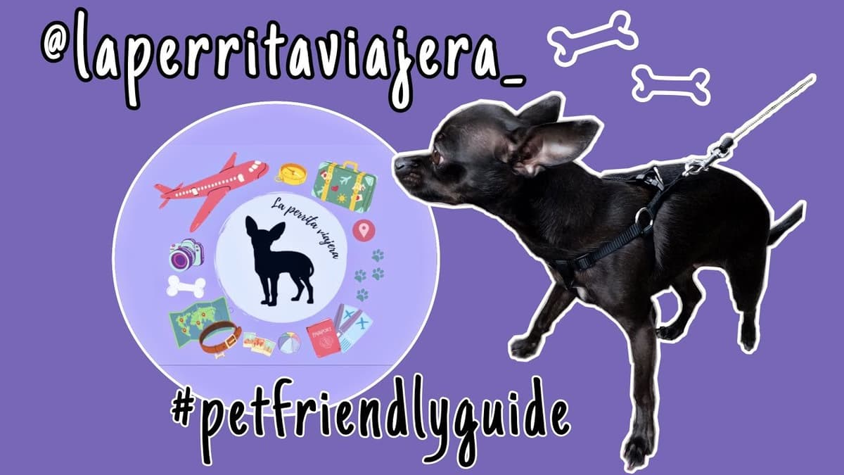 🐾 Top 10 Restaurantes Pet-Friendly en Córdoba: Disfruta con tu Mascota | 2023 🐾