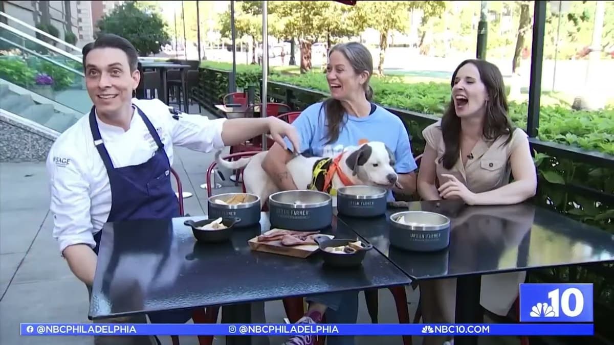 Los 10 Mejores Restaurantes Pet-Friendly en Philadelphia para Disfrutar con tu Mascota
