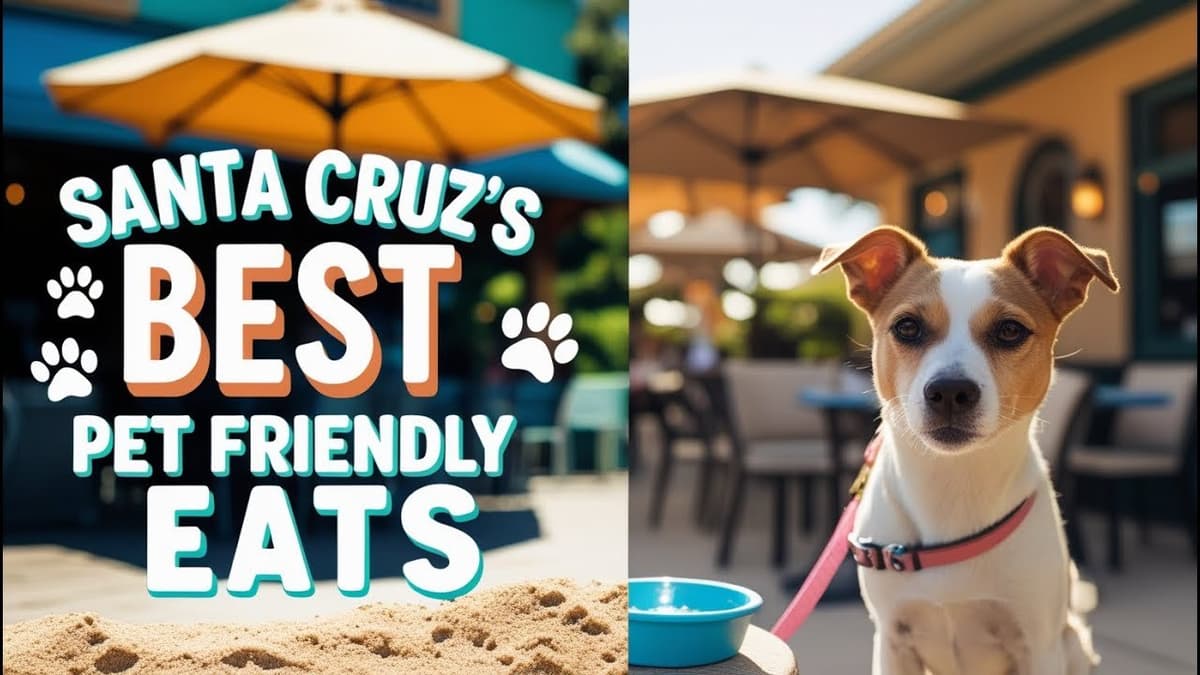 Los 10 Mejores Restaurantes Pet-Friendly en Santa Cruz para Disfrutar con tu Mascota