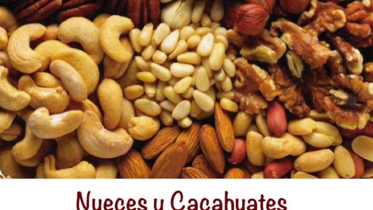 10 Tips de Nutrición Esenciales para Mejorar tu Rendimiento en Épocas de Exámenes