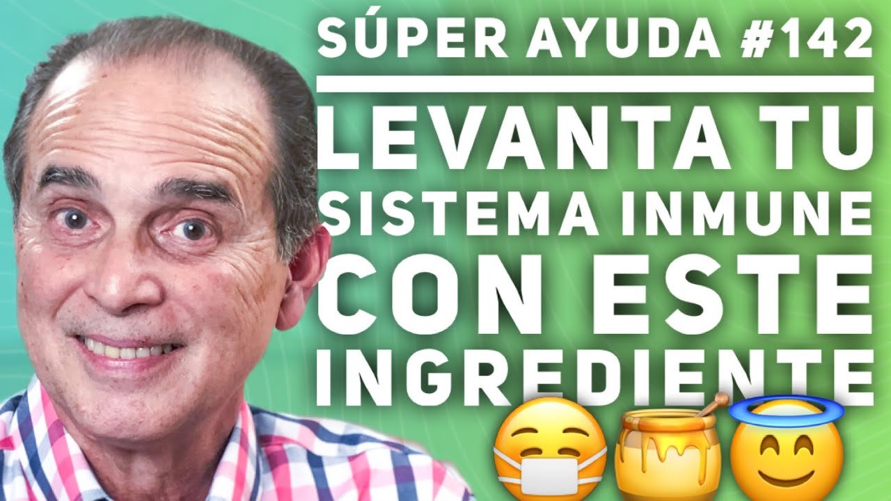 10 Alimentos Clave para Fortalecer el Sistema Inmune | Guía de Nutrición