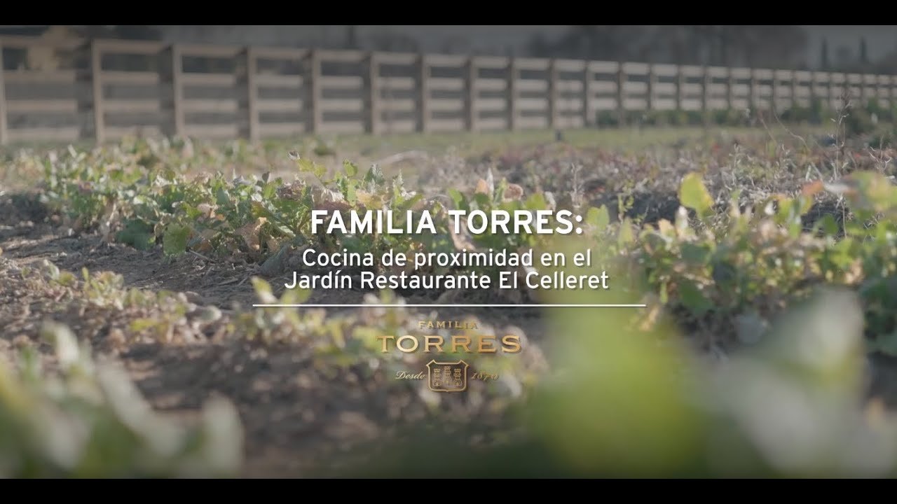 Cocina de Proximidad: Cómo Lograr una Cocina Más Responsable