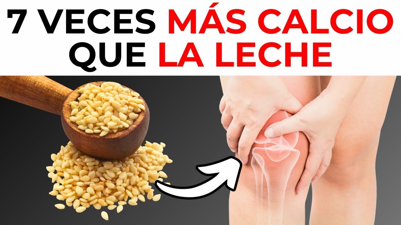 Top Comidas con Calcio: La Opción #193 Perfecta para Adultos Mayores