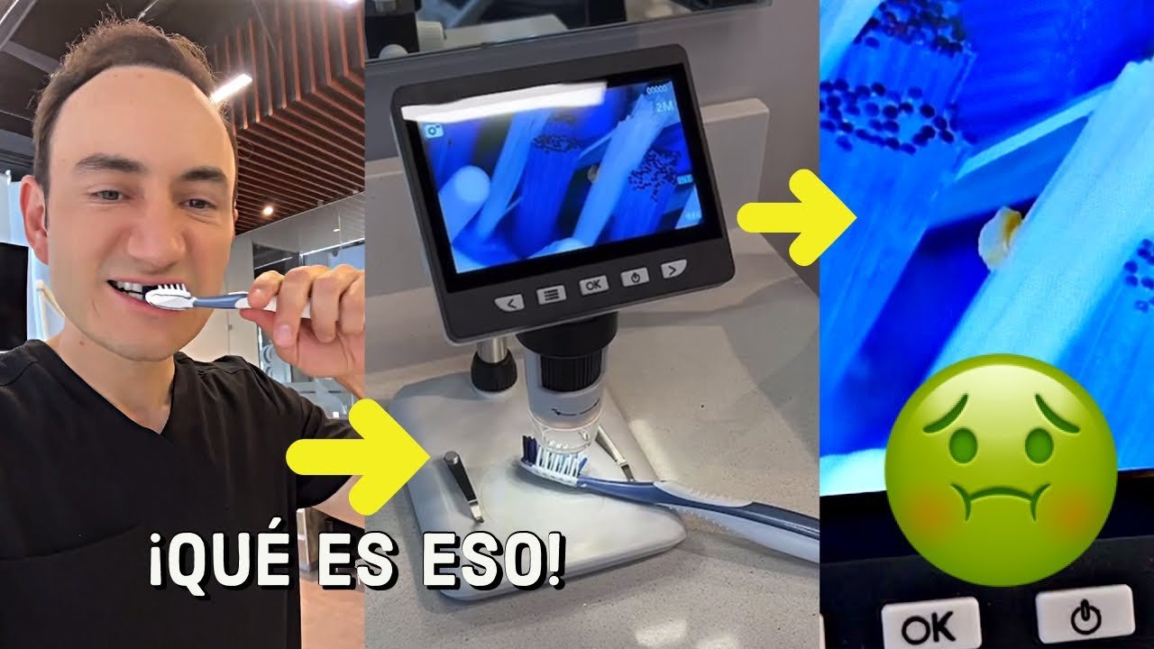 Comida para Dentaduras Sensibles: La Mejor Opción #205 para Adultos Mayores