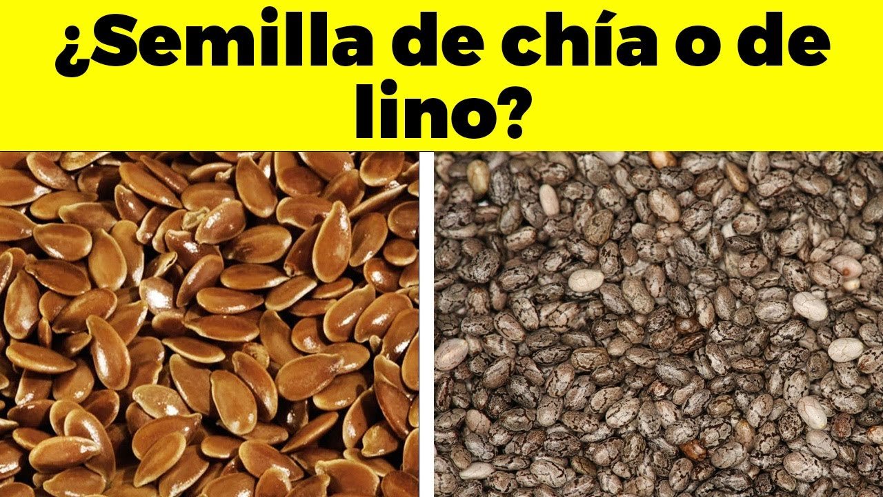 Comparación Entre Chia y Flaxseed: ¿Cuál es Mejor Para Ti?