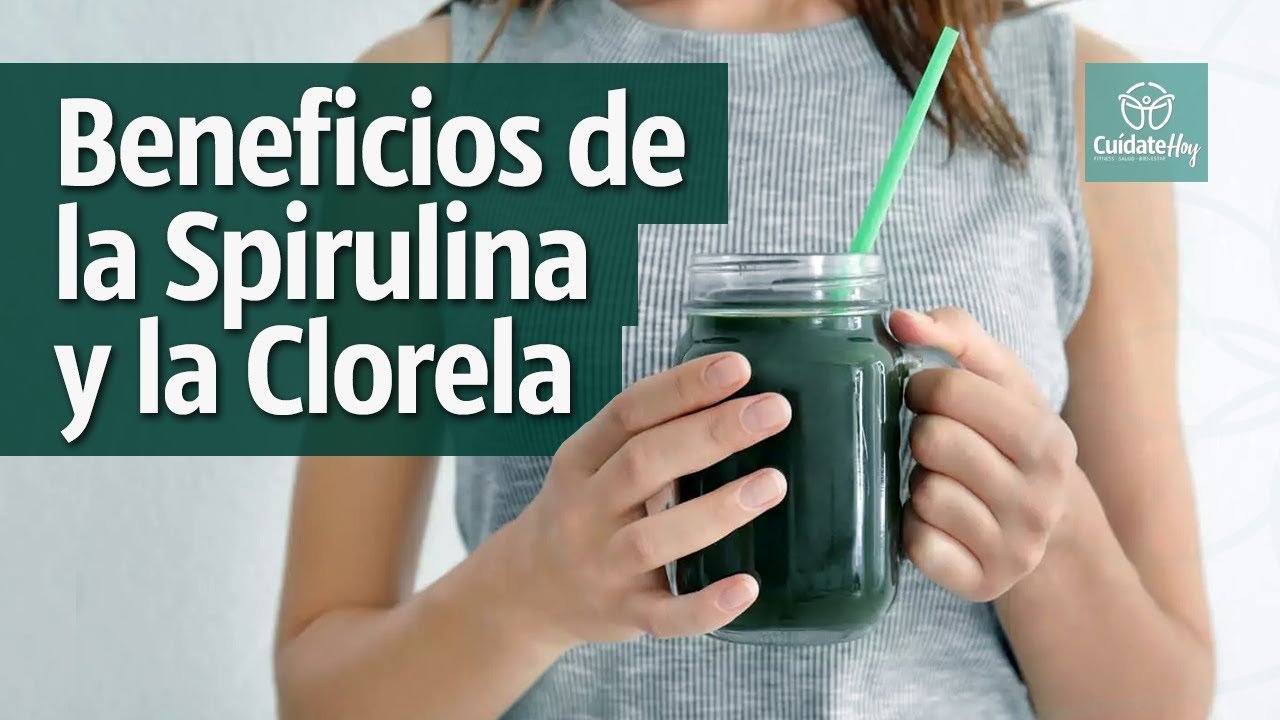 Miso vs Spirulina: Análisis Detallado para Decidir Cuál es Mejor