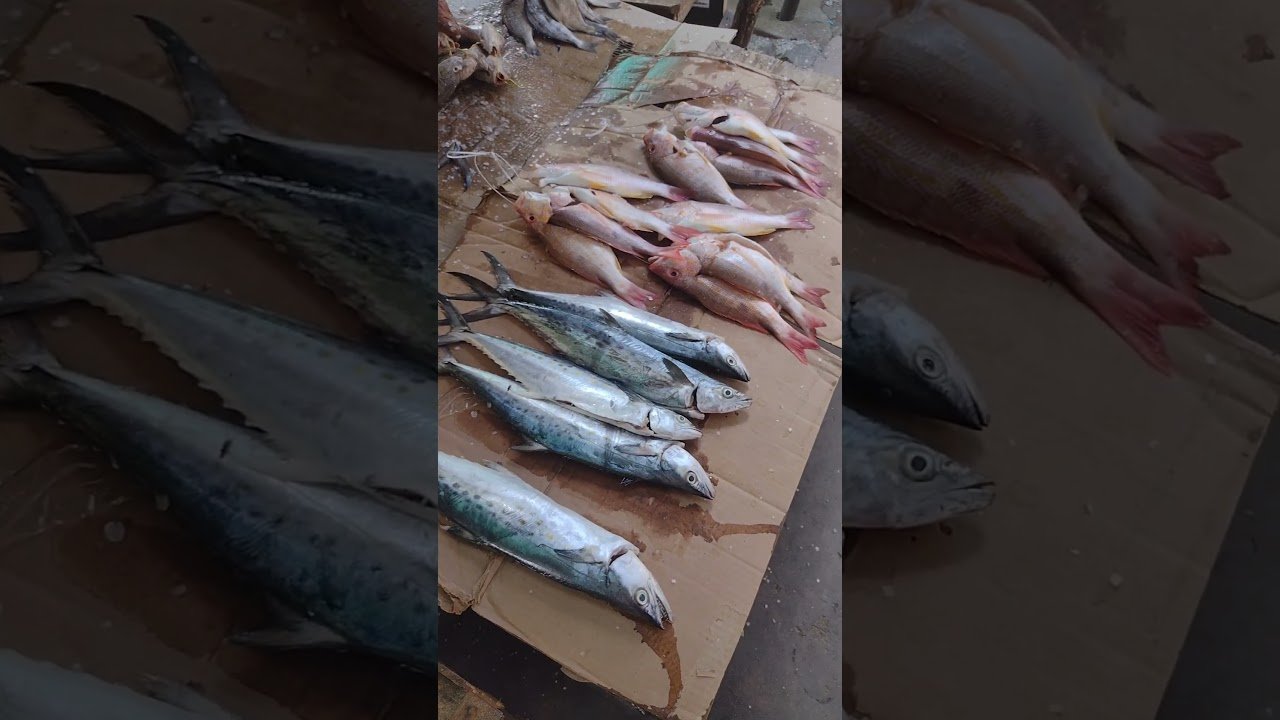 Top Lugares Para Encontrar Mariscos Frescos en Cali [2023]