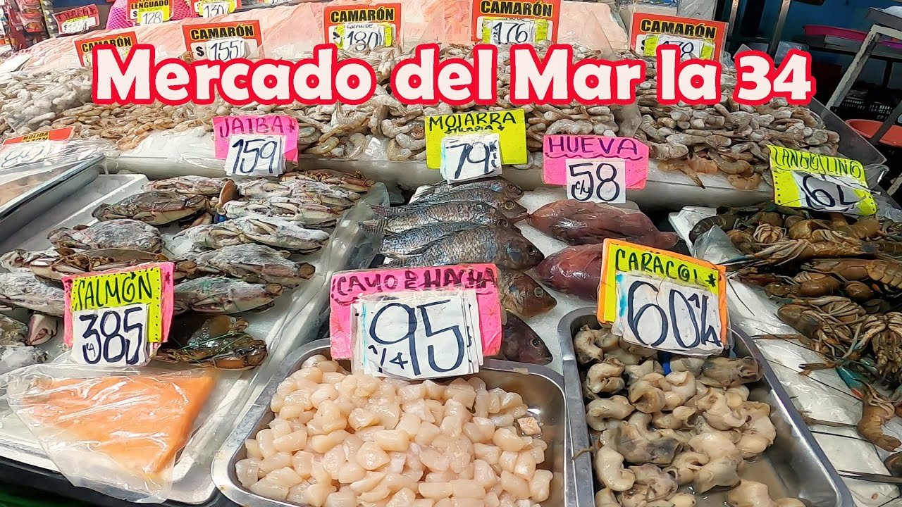Dónde Encontrar los Mejores Mariscos Frescos en Guadalajara | Guía 2023