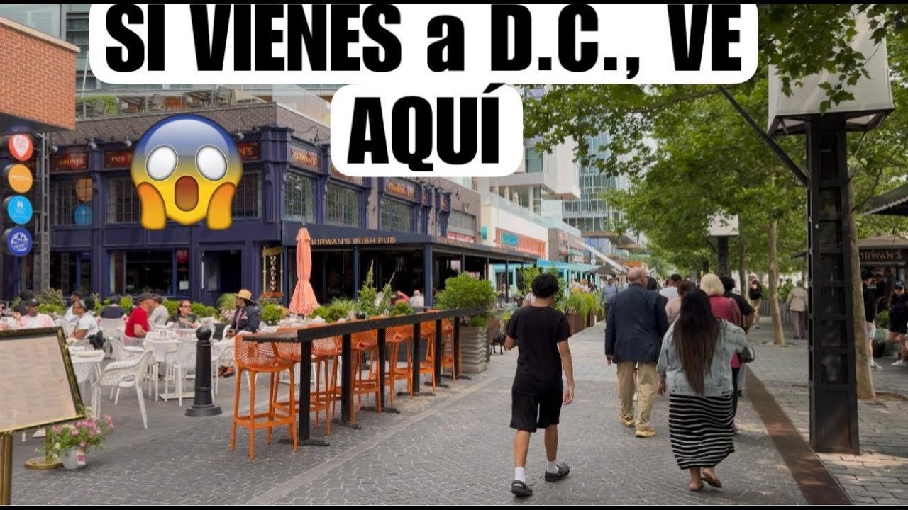 Los 10 Mejores Lugares para Encontrar Mariscos Frescos en Washington DC