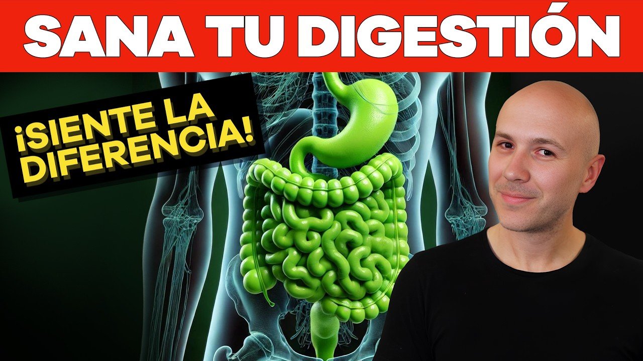 Guía Completa de Alimentos para Mejorar la Digestión: Optimiza tu Salud