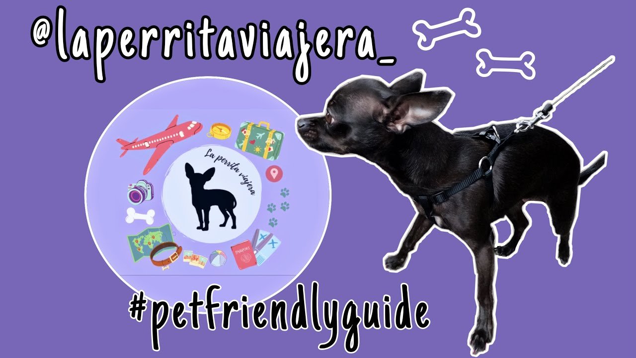 🐾 Top 10 Restaurantes Pet-Friendly en Córdoba: Disfruta con tu Mascota | 2023 🐾