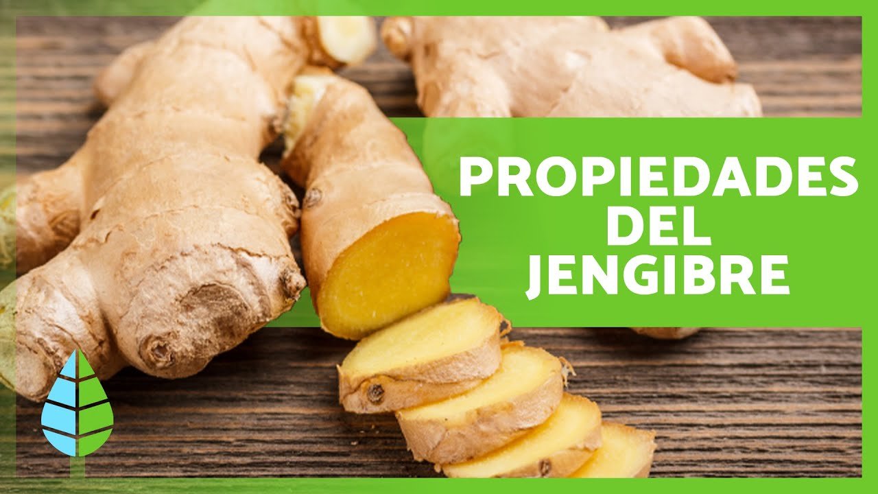 Todo Sobre el Jengibre en la Cocina: Guía Completa | Usos y Beneficios