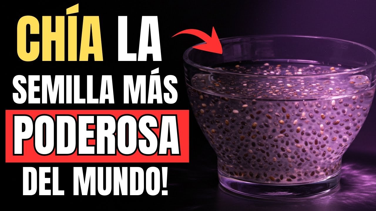 Todo Sobre la Tendencia de la Chía en el Mundo Gastronómico: Guía Completa 2023