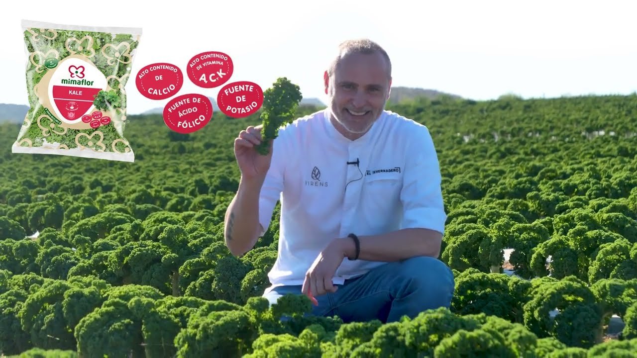 Todo sobre la Tendencia Kale en el Mundo Gastronómico: Lo Que Necesitas Saber