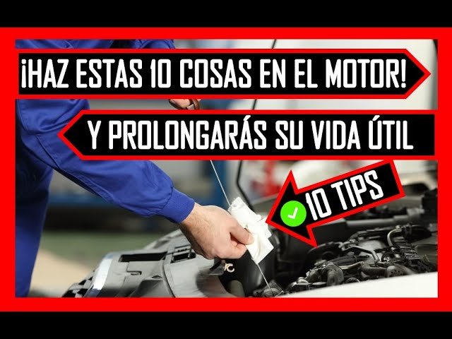 10 Trucos Efectivos para Alargar la Vida Útil de un Rallador | Guía 2023