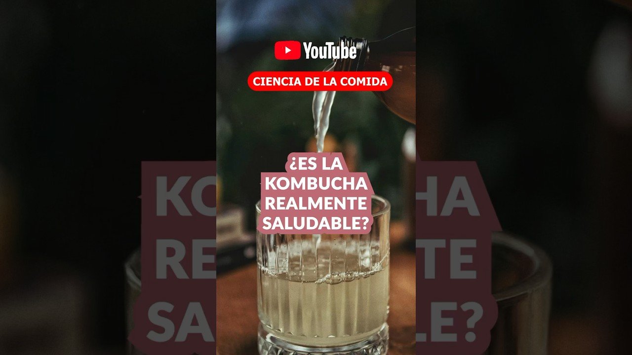 ¿Funciona el Kombucha? Análisis Científico Completo | 2023