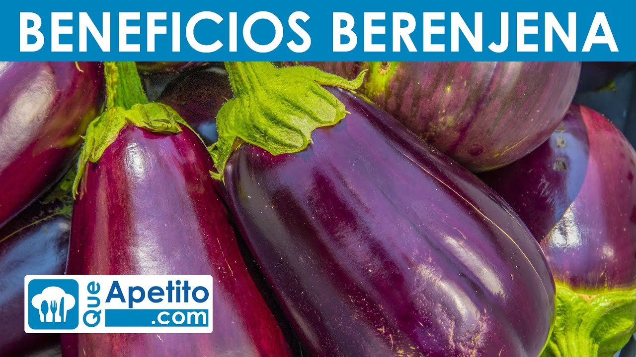 ¿Qué es Berenjena? Aprende Cómo Prepararla Correctamente
