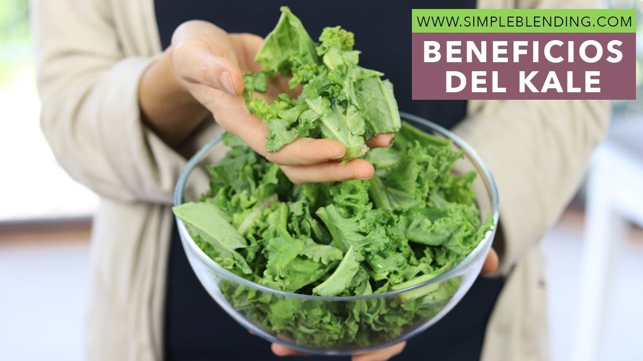 ¿Qué es el Kale? Descubre por Qué Es el Superalimento del Momento