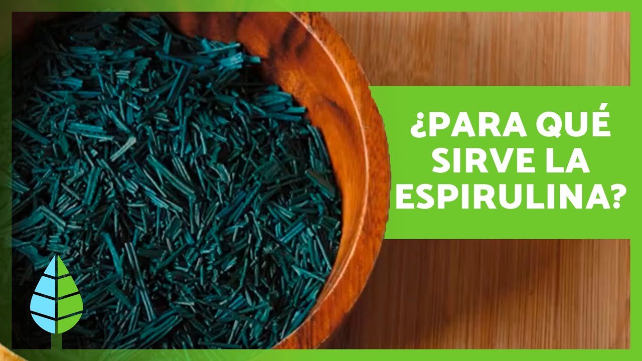 ¿Qué es la Spirulina? Descubre el Superalimento del que Todos Hablan