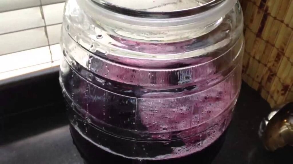 Receta de Agua de Jamaica