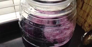 Receta de Agua de Jamaica