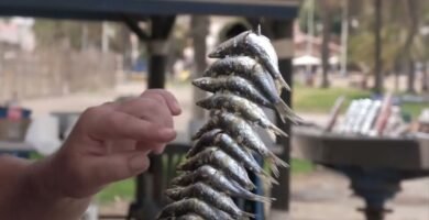 Receta de Espetos de Sardinas