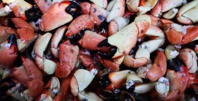 Receta de Florida Stone Crab Claws