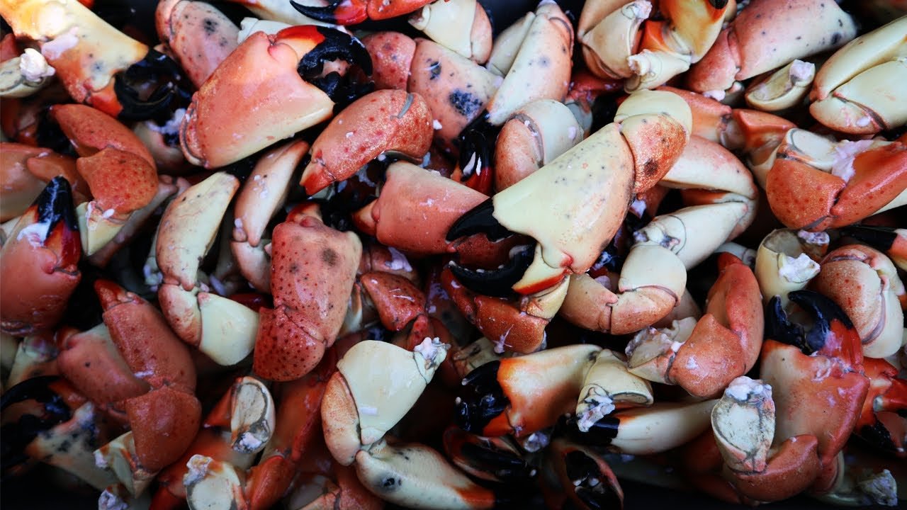 Receta de Florida Stone Crab Claws