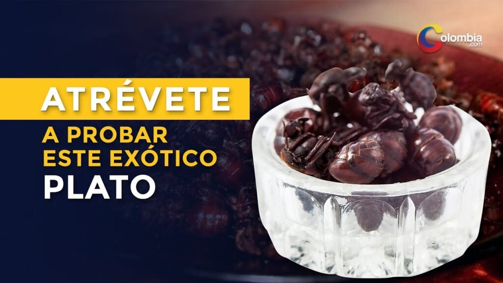 Receta de Hormiga de Rancho