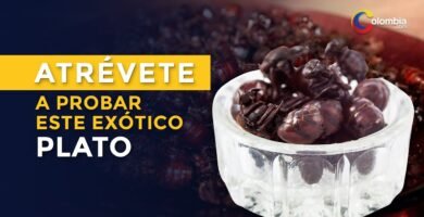 Receta de Hormiga de Sabana