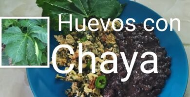 Receta de Huevos Revueltos con Chaya