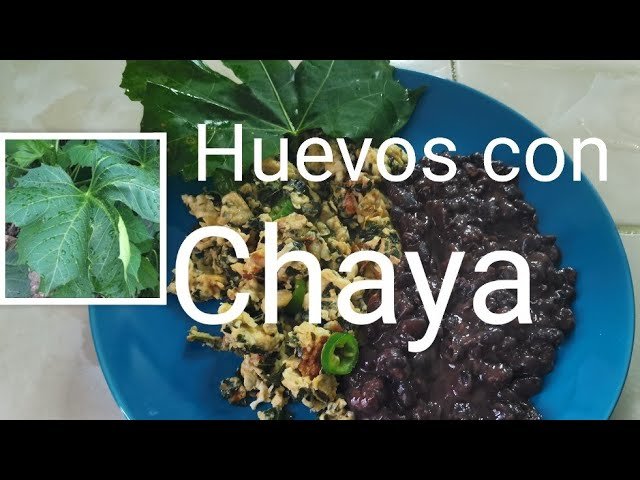 Receta de Huevos Revueltos con Chaya