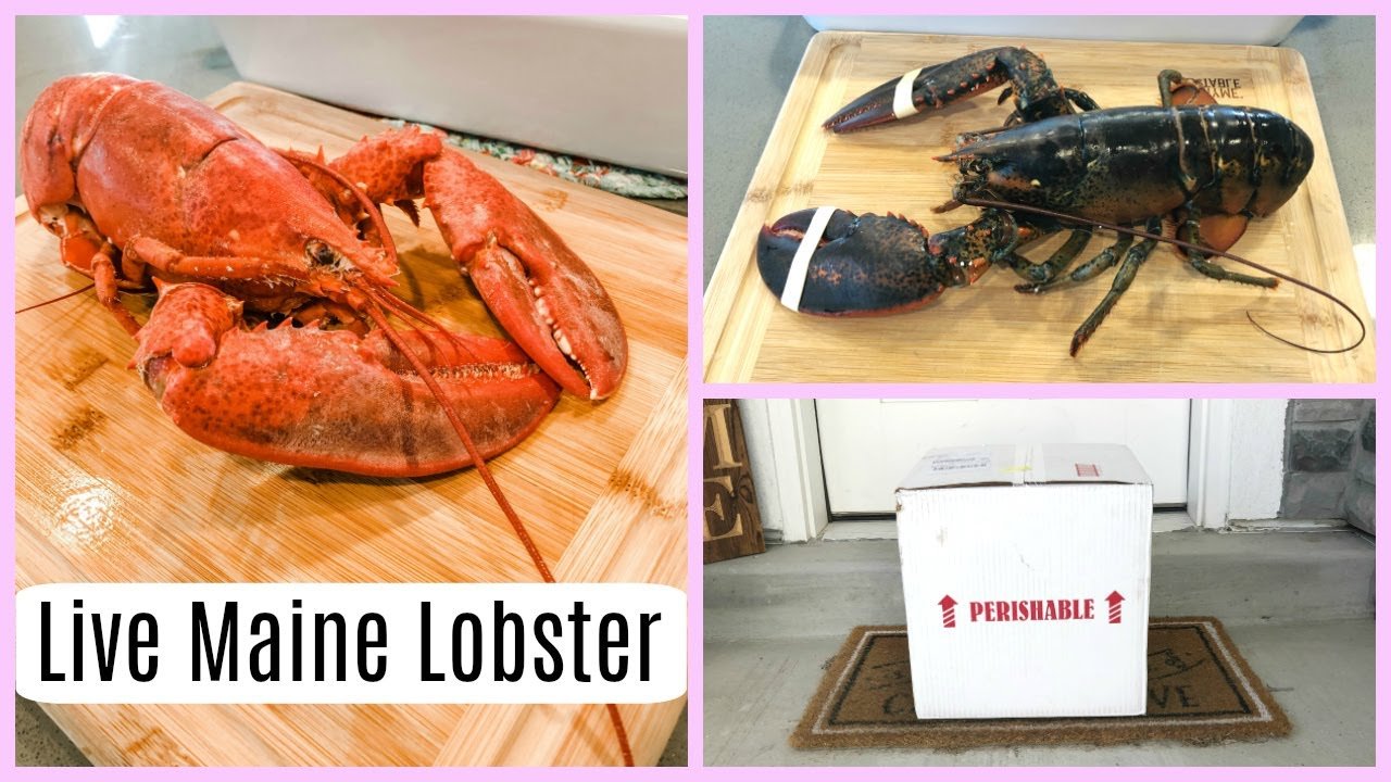 Receta de Maine Lobster