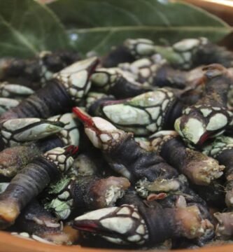Receta de Percebes
