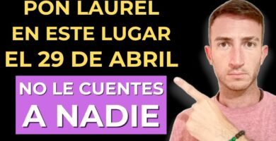 Cómo reemplazar la laurel si no la tienes en casa