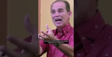 ¿Qué especias combinan mejor con vinagre?