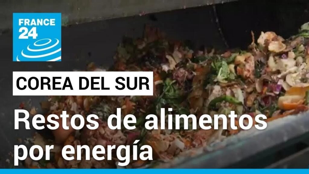 Alimentación estilo Corea del Sur para mejorar tu energía